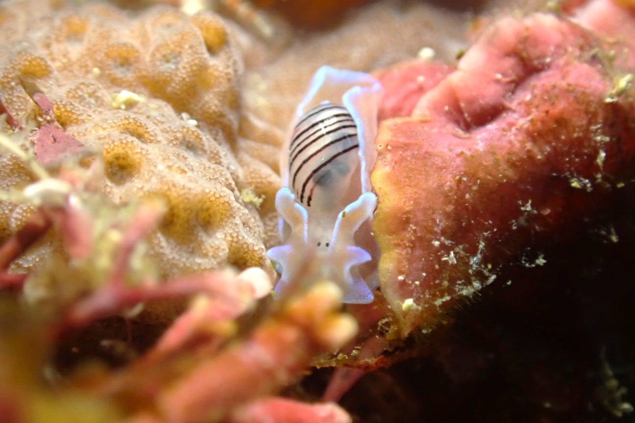 P1130120