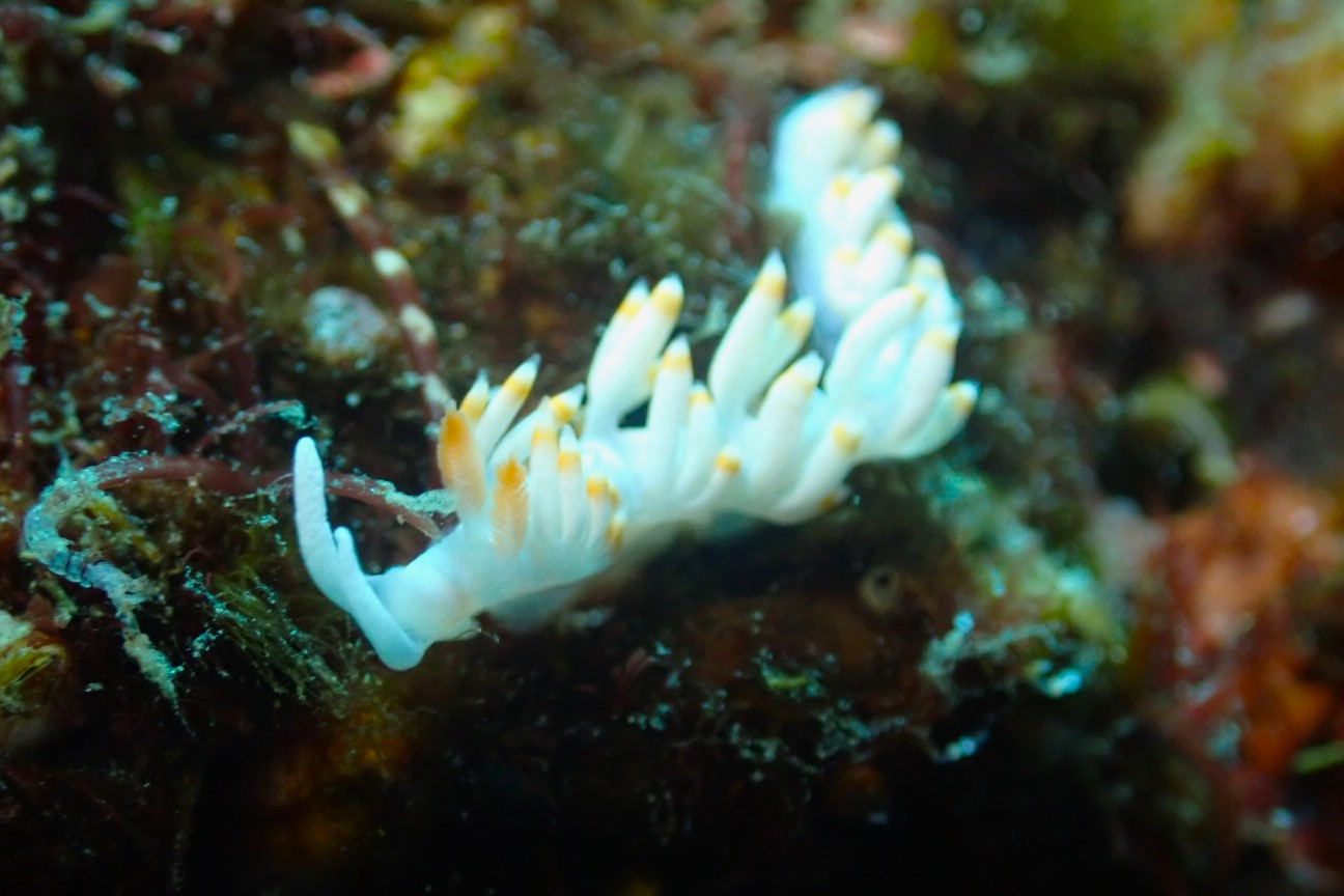 P1130139