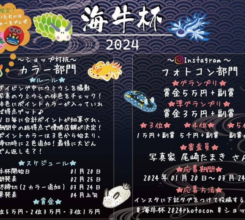 海牛杯2024