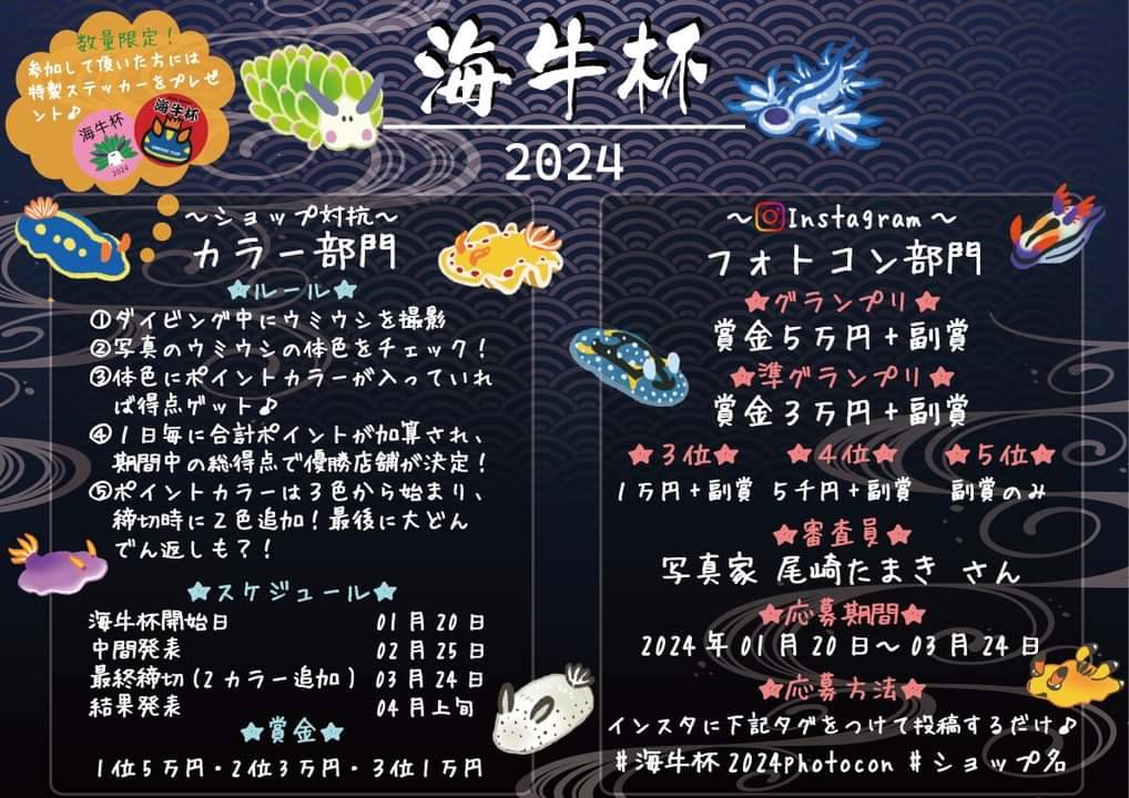 海牛杯2024