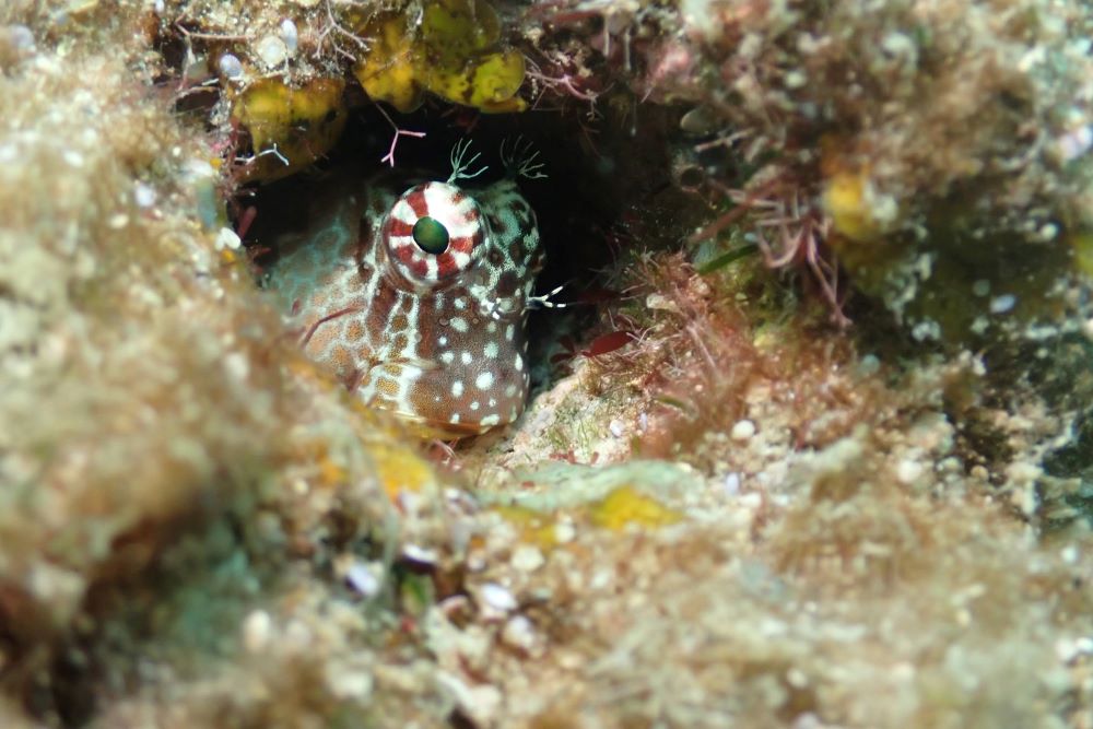 P6160130