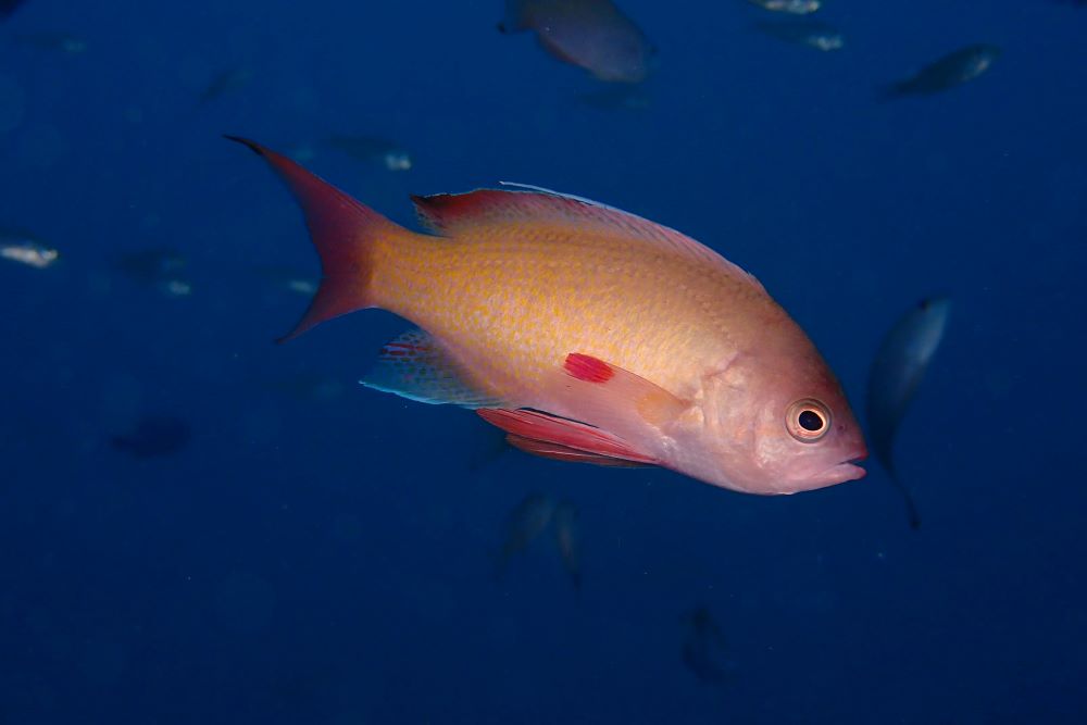 P6160159