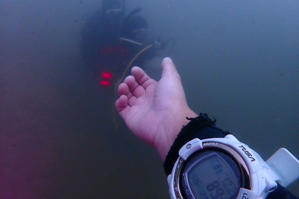 P7050006