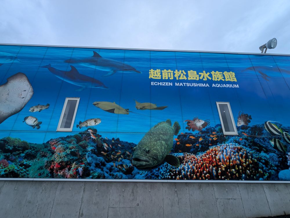 PXL_20240701_034903193
