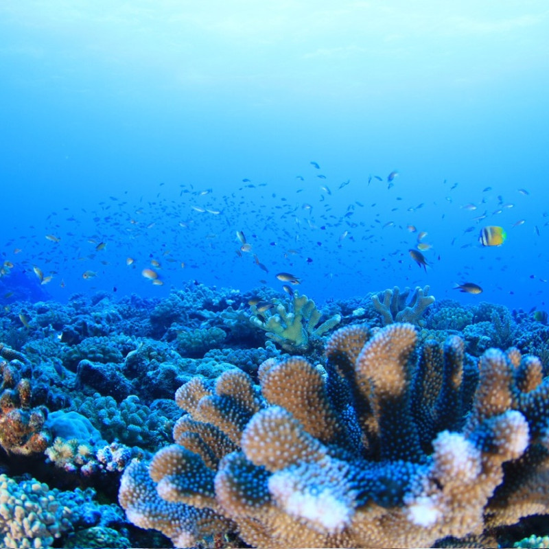 4620693218529266760.db185faf288acc278bd7188936ec7006.19101408