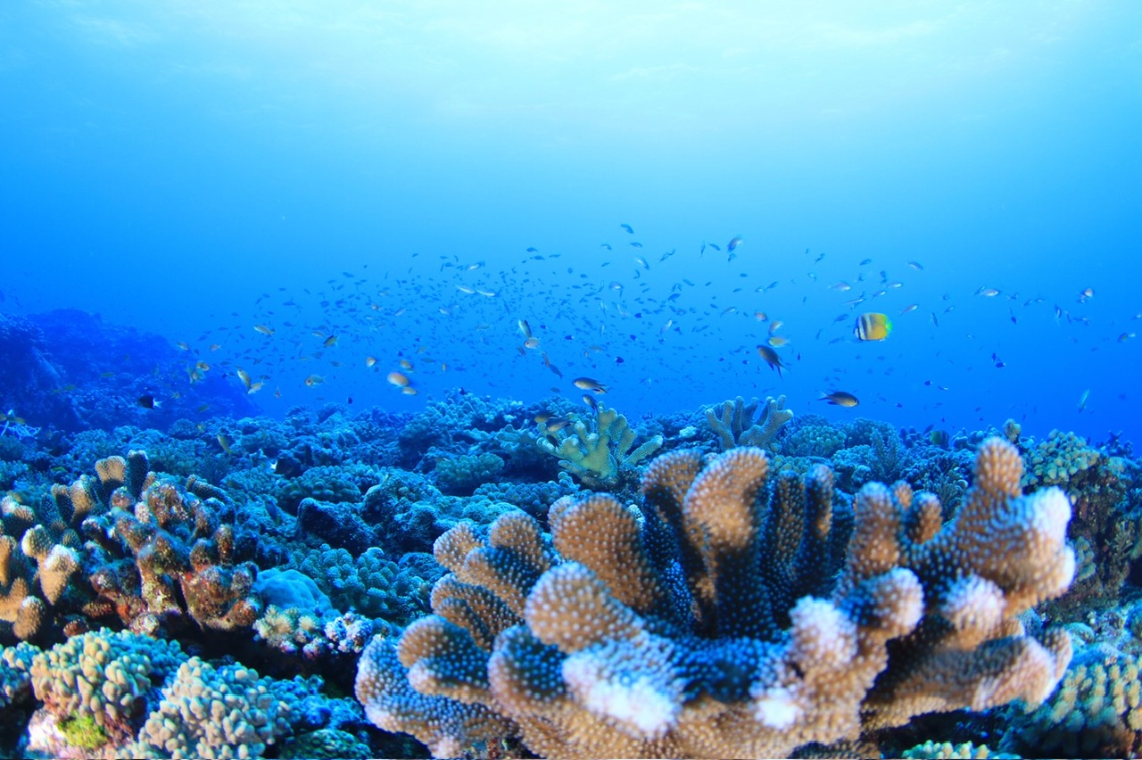 4620693218529266760.db185faf288acc278bd7188936ec7006.19101408